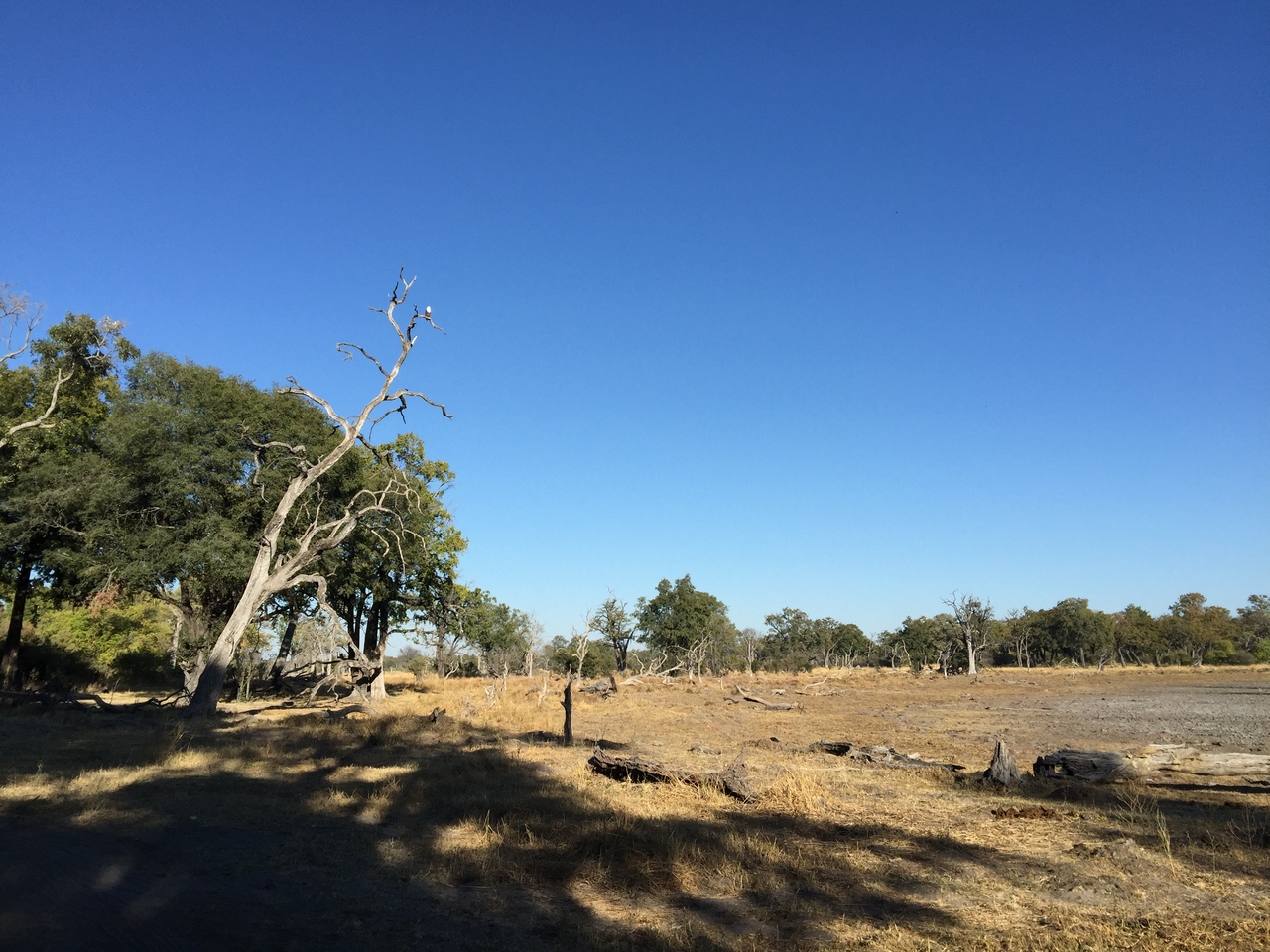 [21421] 2016_06_29_08_33_17_Africa_iPhone_6_Plus_IMG_3856_00405.jpg