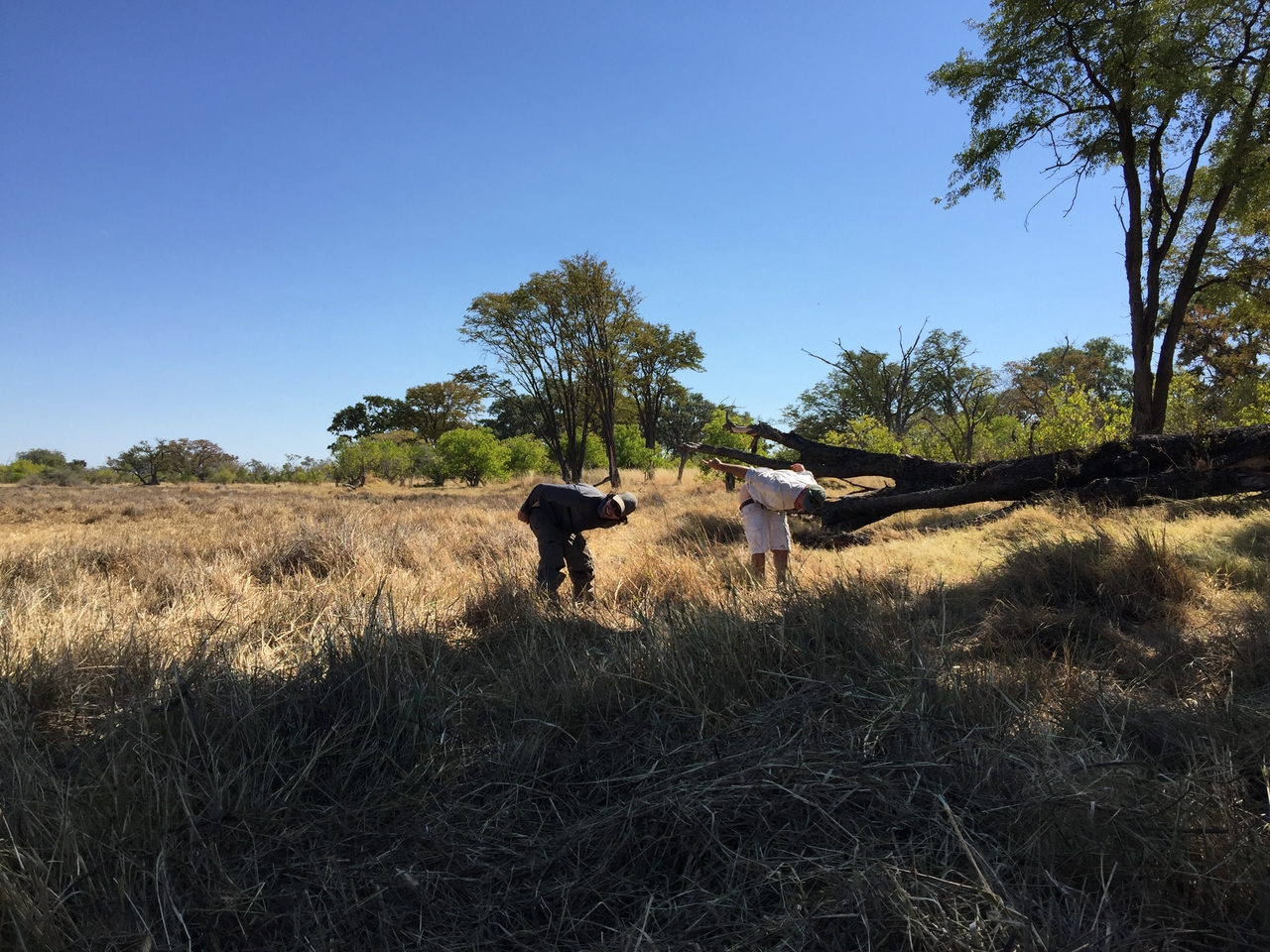 [22181] 2016_06_29_12_47_01_Africa_iPhone_6_Plus_IMG_3876_07005.jpg