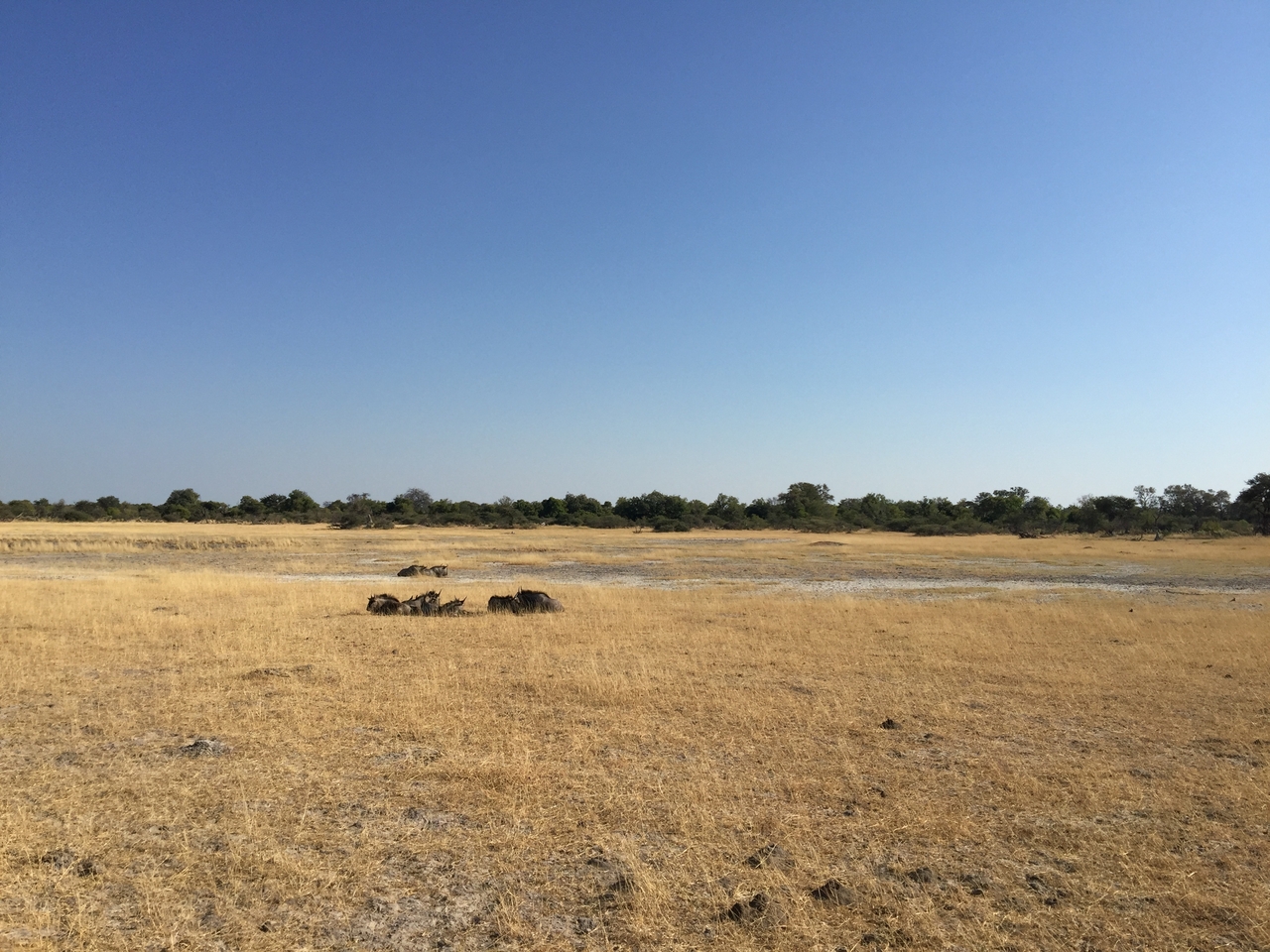 [24799] 2016_06_30_09_26_47_Africa_iPhone_6_Plus_IMG_3931_07029.jpg