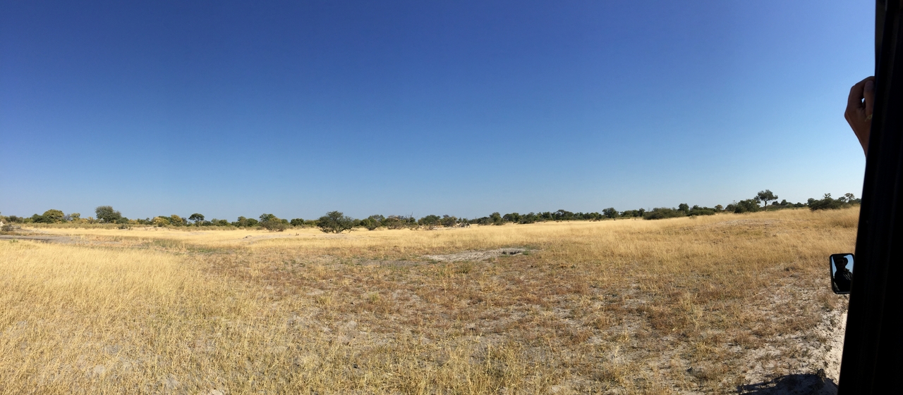 [24803] 2016_06_30_09_45_05_Africa_iPhone_6_Plus_IMG_3934_07031.jpg