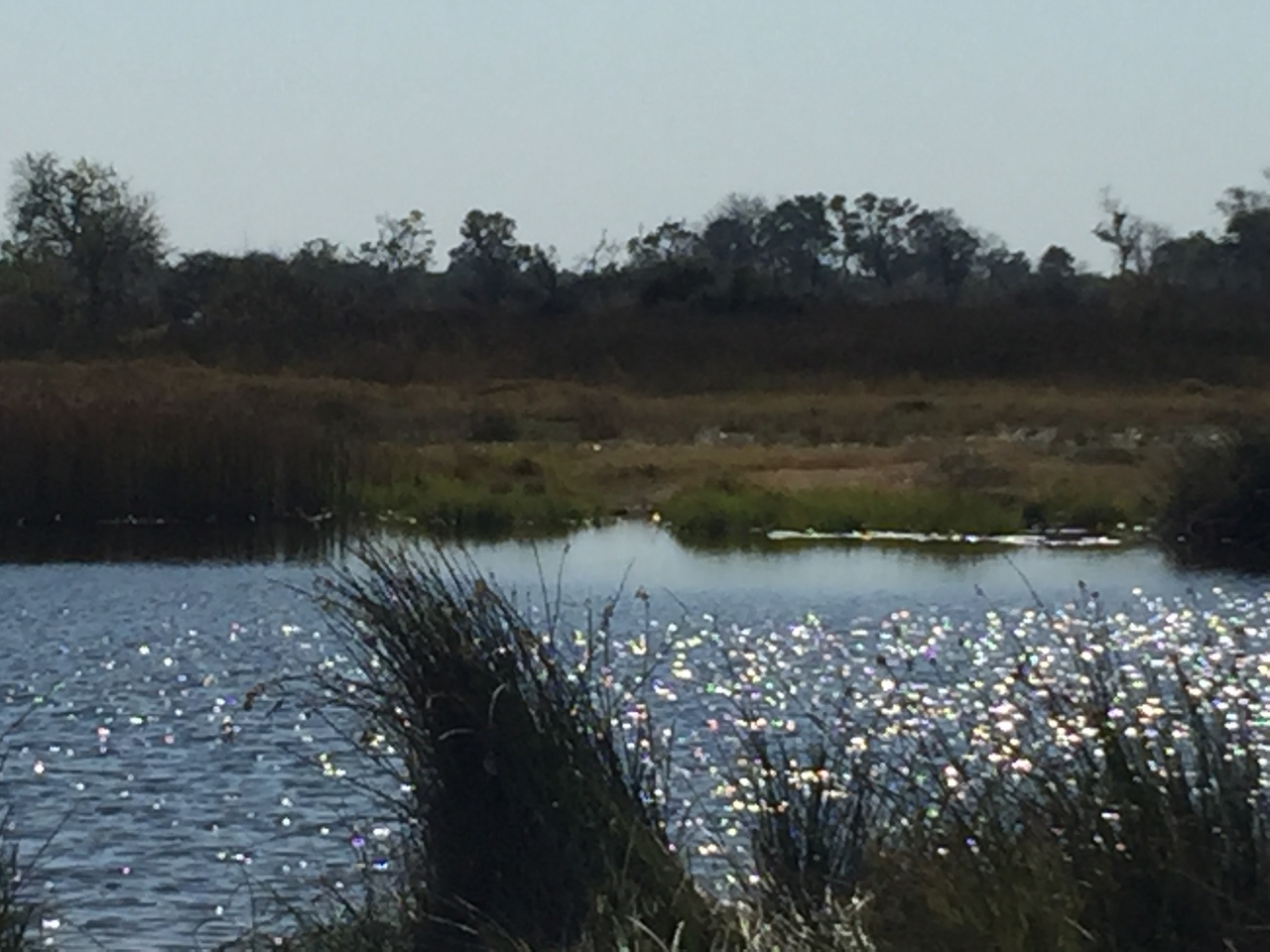 [25196] 2016_06_30_10_55_27_Africa_iPhone_6_Plus_IMG_3943_07037.jpg