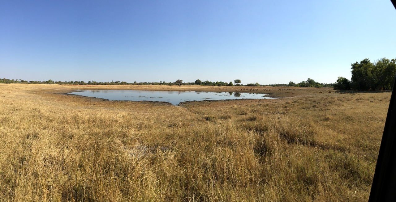 [25318] 2016_06_30_14_58_00_Africa_iPhone_6_Plus_IMG_3980_00474.jpg