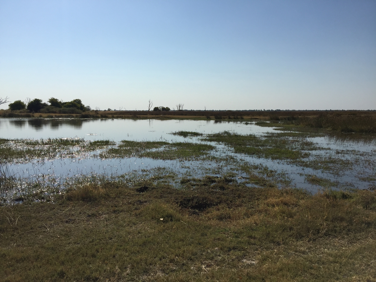 [25791] 2016_06_30_15_10_18_Africa_iPhone_6_Plus_IMG_3986_07063.jpg