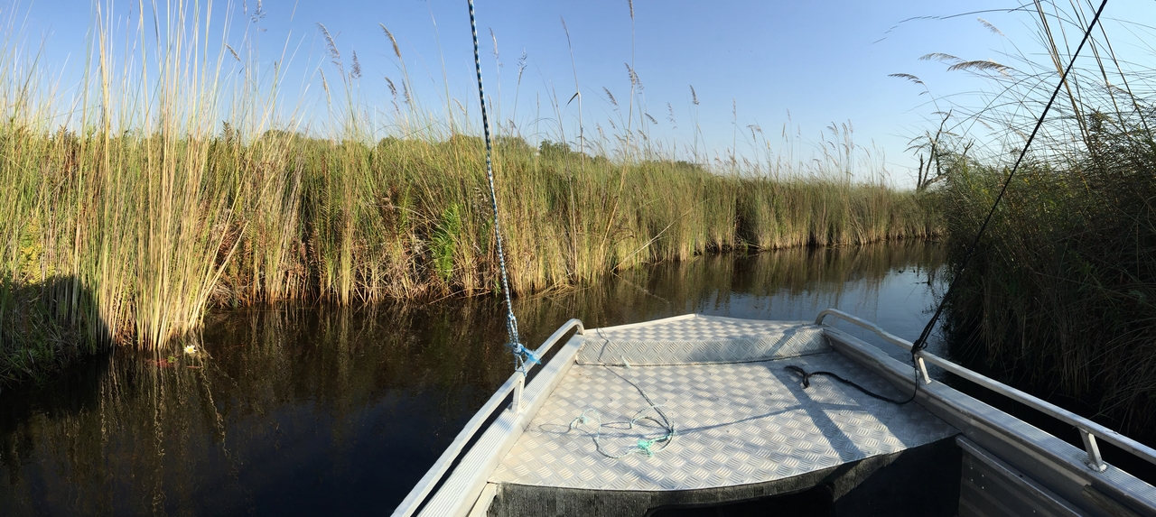 [26924] 2016_07_01_09_36_22_Africa_iPhone_6_Plus_IMG_4008_00491.jpg
