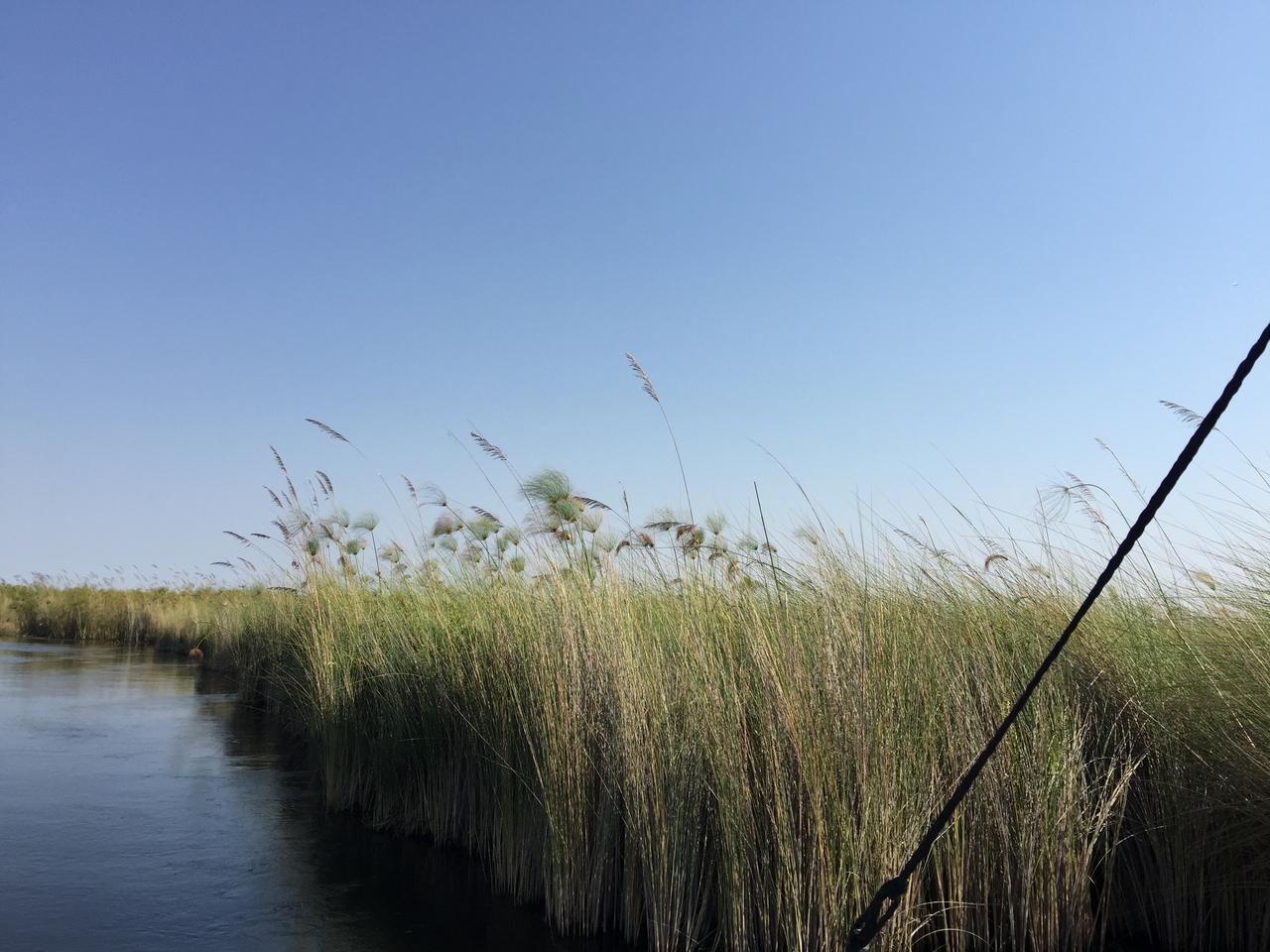 [26954] 2016_07_01_10_42_22_Africa_iPhone_6_Plus_IMG_4035_00497.jpg