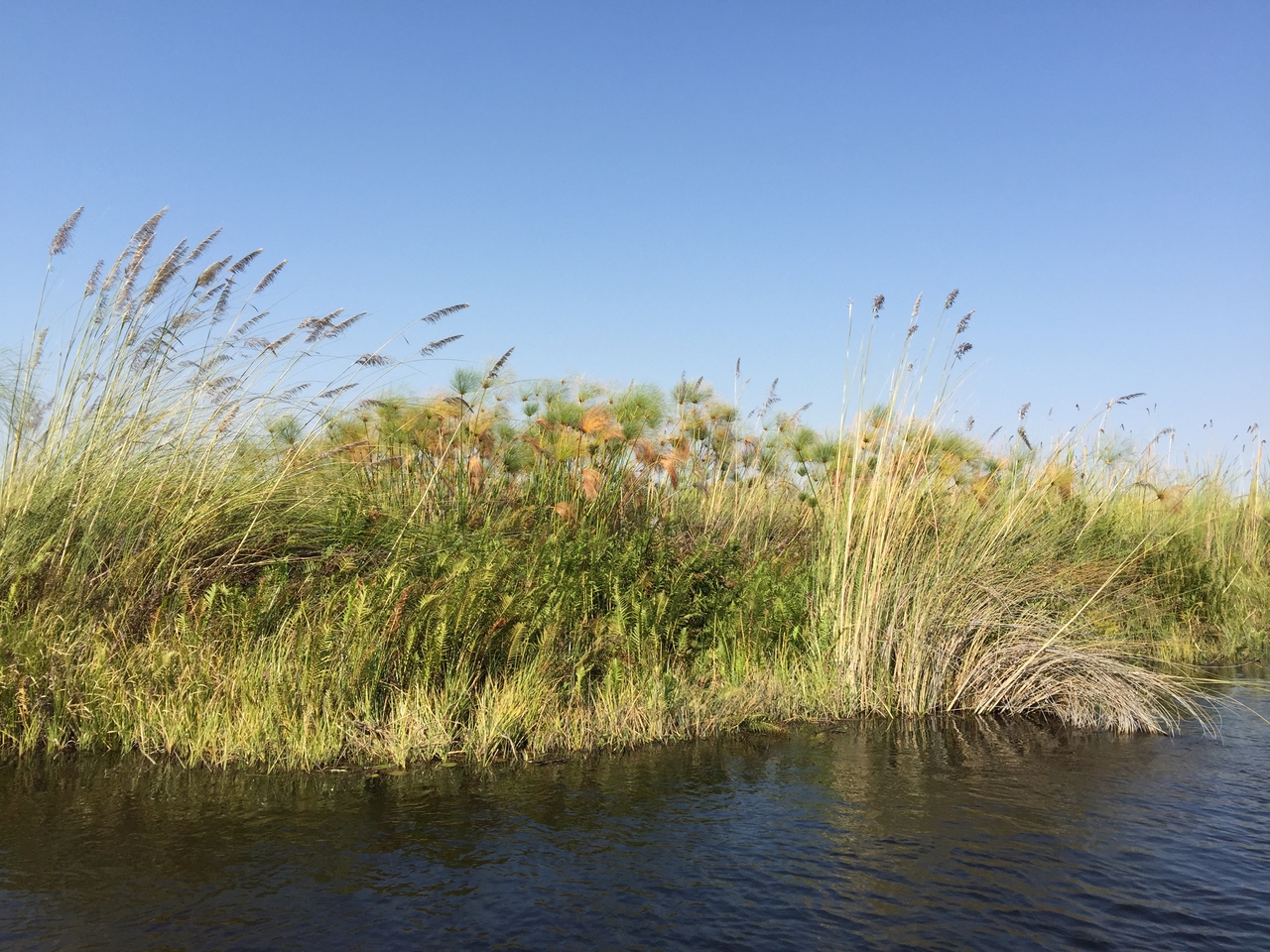[26961] 2016_07_01_10_42_45_Africa_iPhone_6_Plus_IMG_4037_07083.jpg