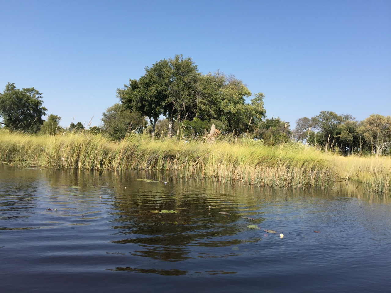 [26975] 2016_07_01_11_00_29_Africa_iPhone_6_Plus_IMG_4044_00504.jpg