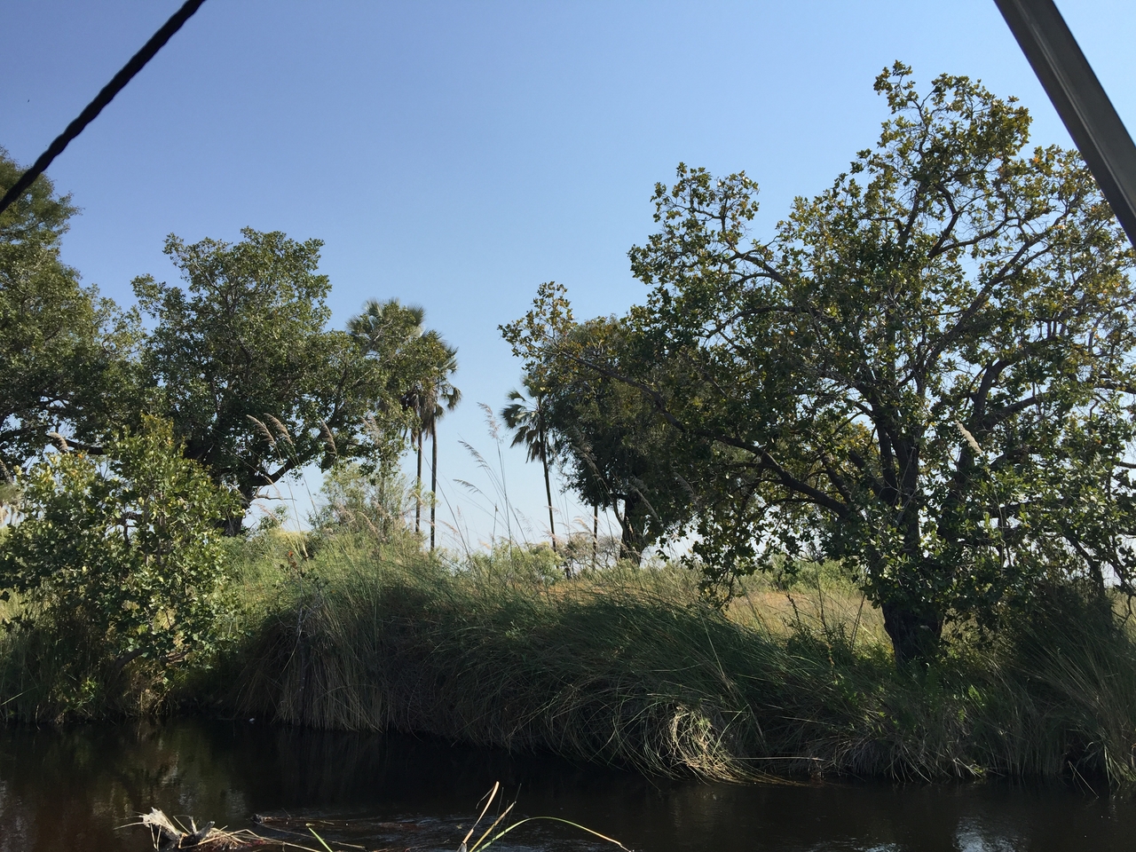 [26985] 2016_07_01_11_29_55_Africa_iPhone_6_Plus_IMG_4056_07090.jpg