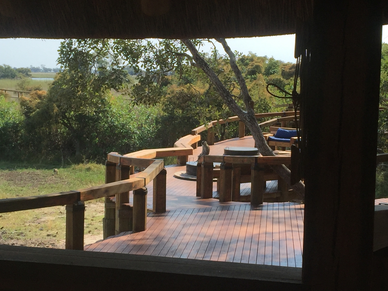 [27030] 2016_07_01_13_26_52_Africa_iPhone_6_Plus_IMG_4079_07101.jpg