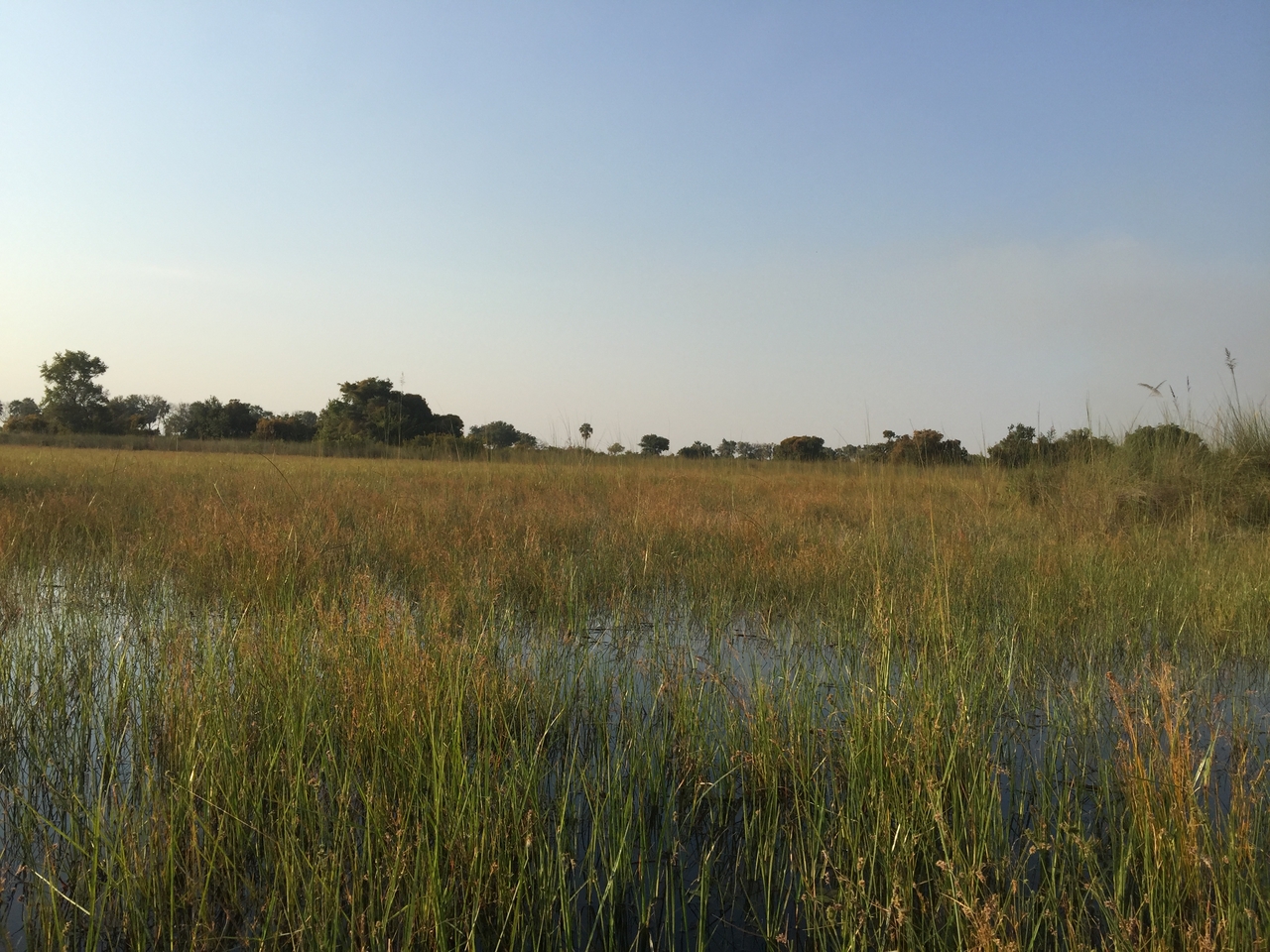 [27341] 2016_07_01_16_42_46_Africa_iPhone_6_Plus_IMG_4569_00081.jpg
