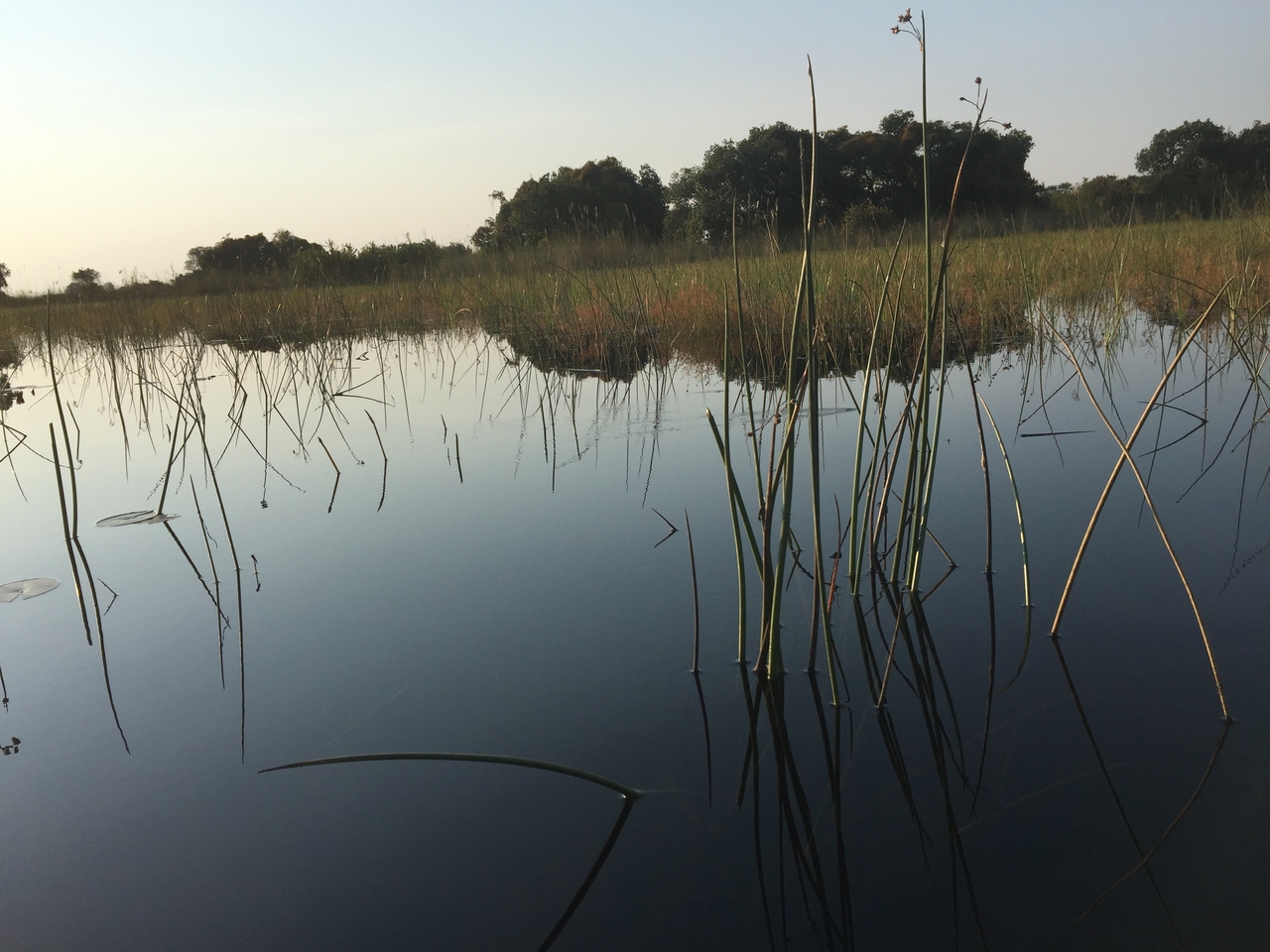 [27345] 2016_07_01_16_46_49_Africa_iPhone_6_Plus_IMG_4570_00570.jpg