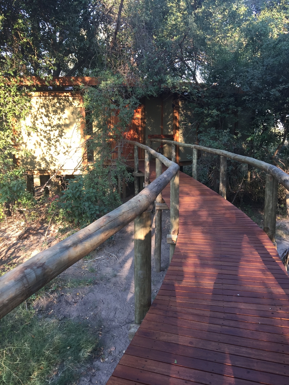 [27885] 2016_07_02_08_24_05_Africa_iPhone_6_Plus_IMG_4631_00119.jpg