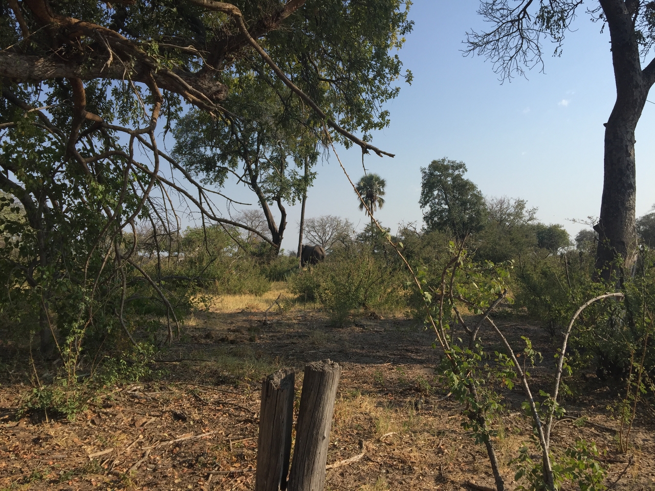 [28026] 2016_07_02_09_16_22_Africa_iPhone_6_Plus_IMG_4647_00121.jpg