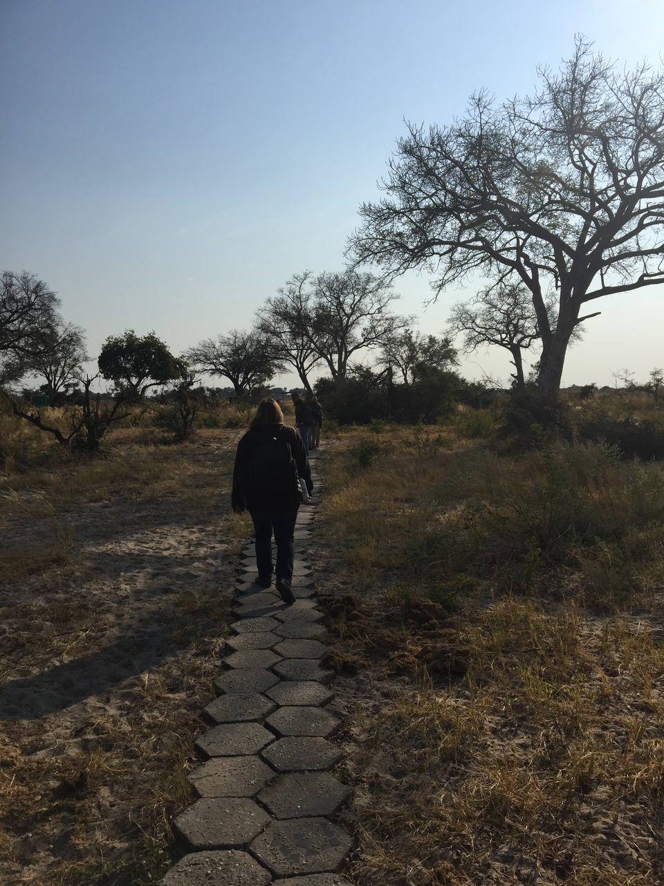 [28032] 2016_07_02_09_17_34_Africa_iPhone_6_Plus_IMG_4649_00122.jpg
