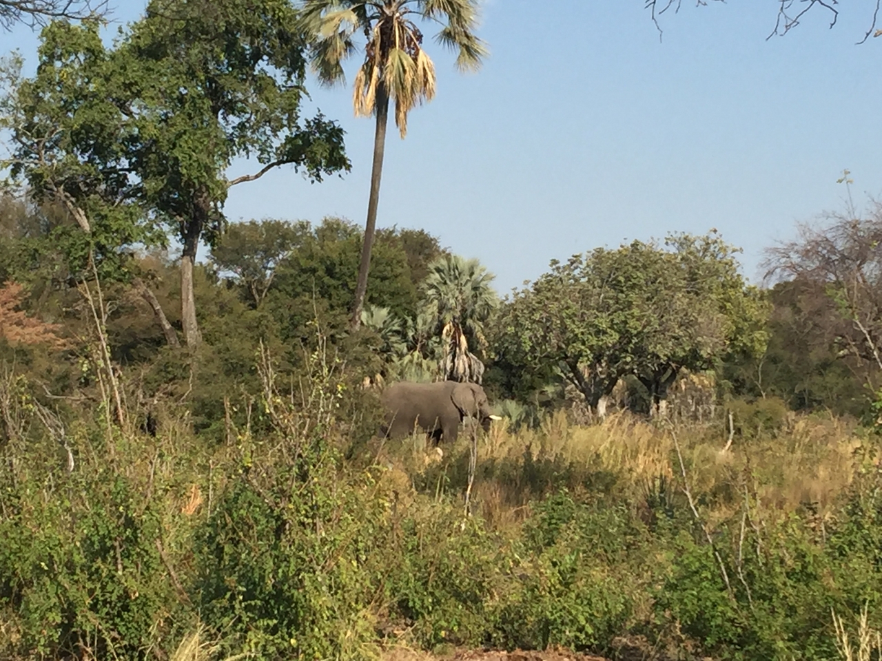 [28045] 2016_07_02_09_17_55_Africa_iPhone_6_Plus_IMG_4653_00614.jpg