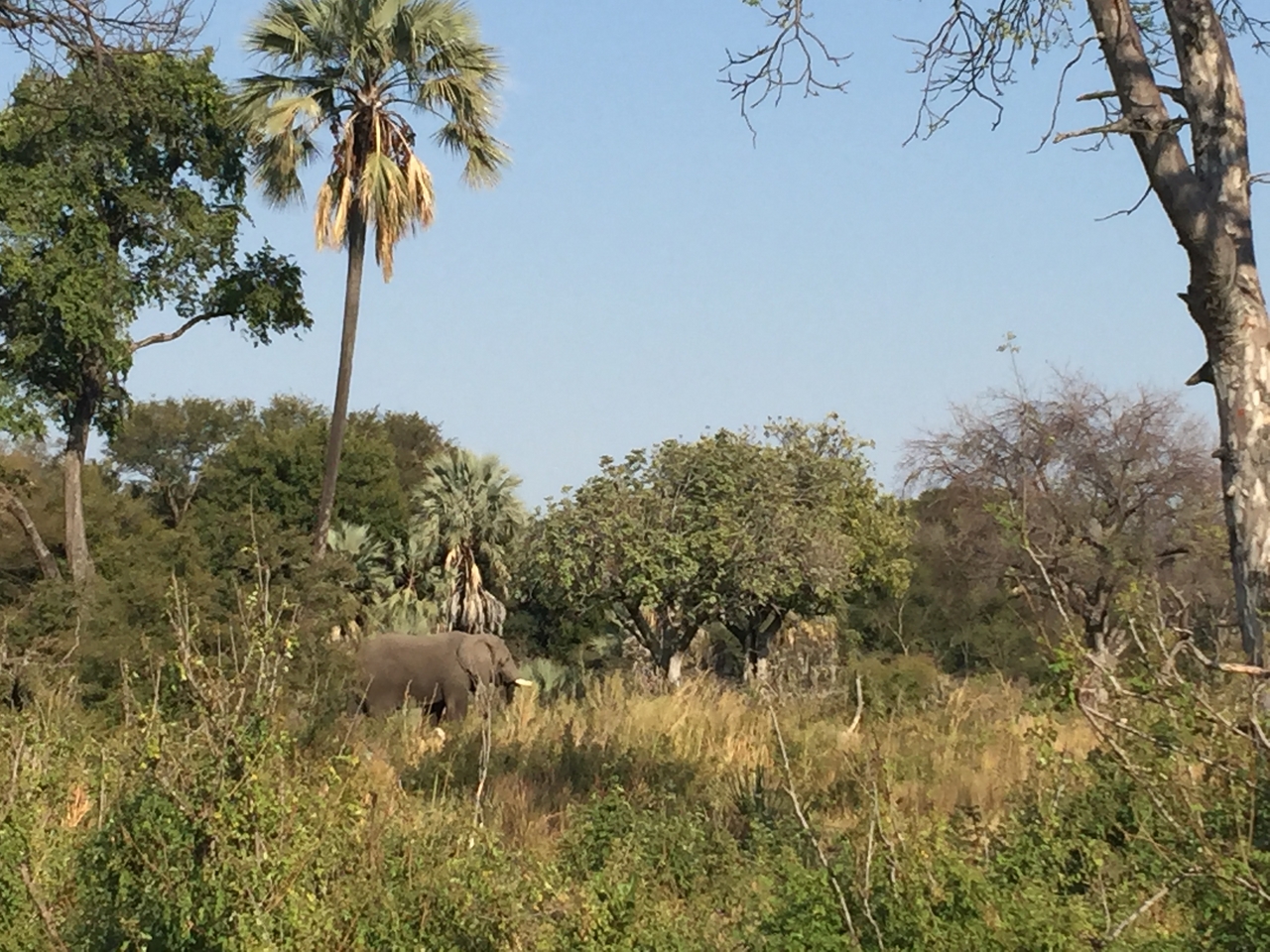 [28048] 2016_07_02_09_17_57_Africa_iPhone_6_Plus_IMG_4654_00615.jpg