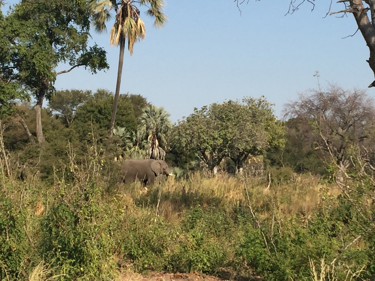 [28052] 2016_07_02_09_17_58_Africa_iPhone_6_Plus_IMG_4655_07200.jpg