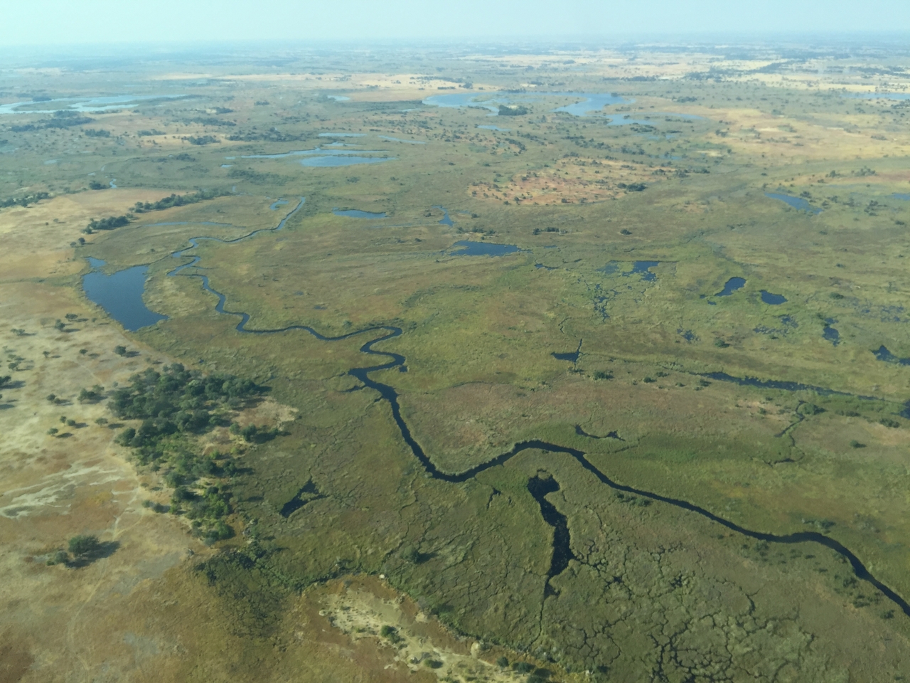 [28101] 2016_07_02_09_27_53_Africa_iPhone_6_Plus_IMG_4688_00140.jpg