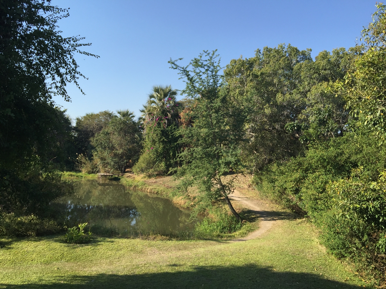 [28778] 2016_07_02_15_31_47_Africa_iPhone_6_Plus_IMG_4790_07254.jpg