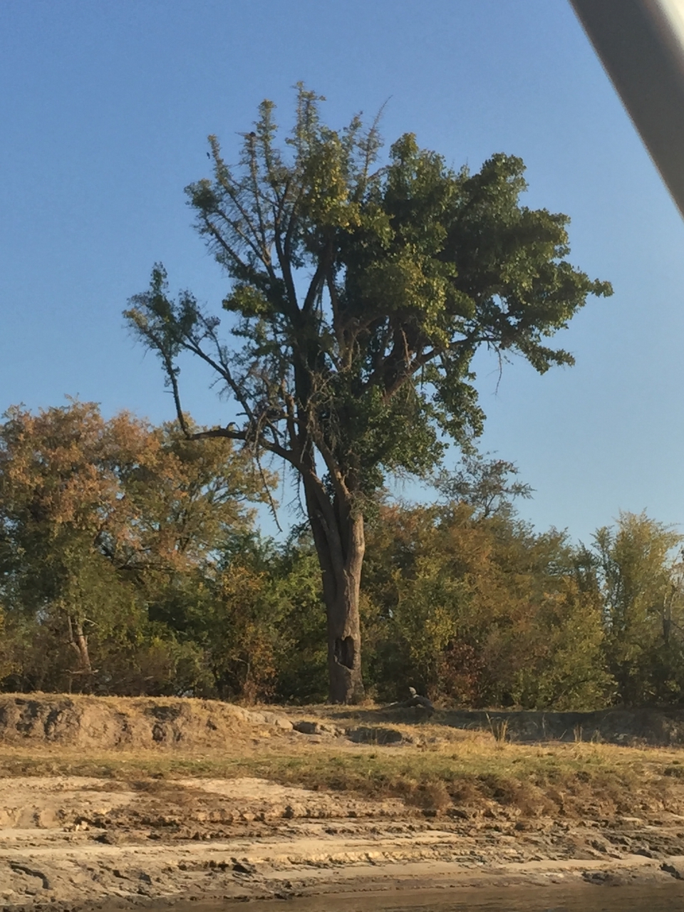 [28800] 2016_07_02_16_32_30_Africa_iPhone_6_Plus_IMG_4804_00190.jpg