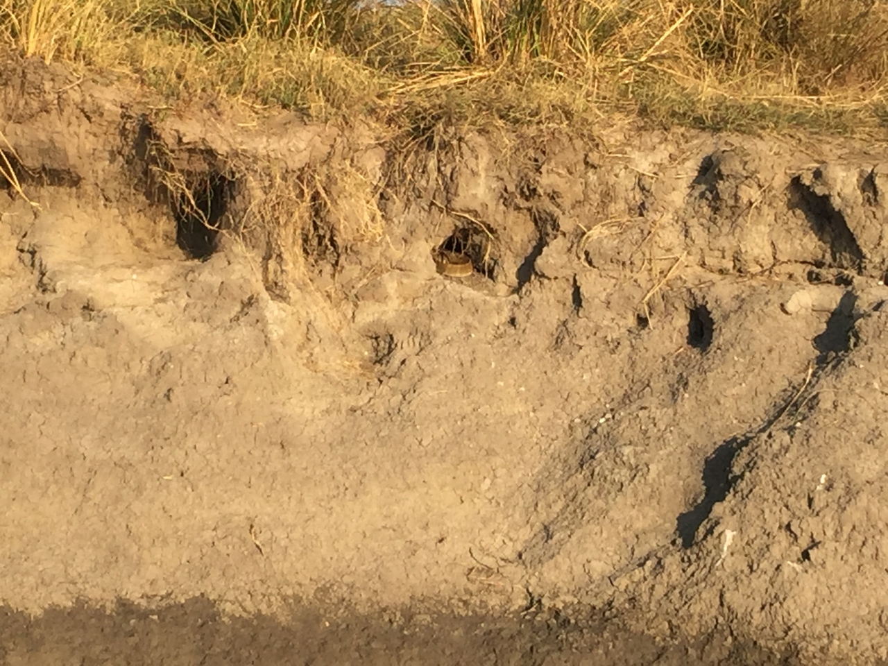 [28807] 2016_07_02_16_46_35_Africa_iPhone_6_Plus_IMG_4806_00680.jpg