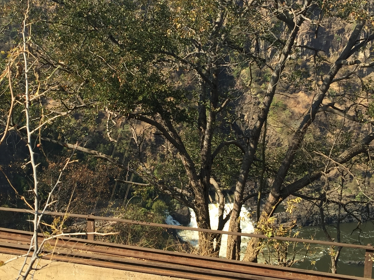 [31832] 2016_07_03_09_45_48_Africa_iPhone_6_Plus_IMG_4890_00743.jpg