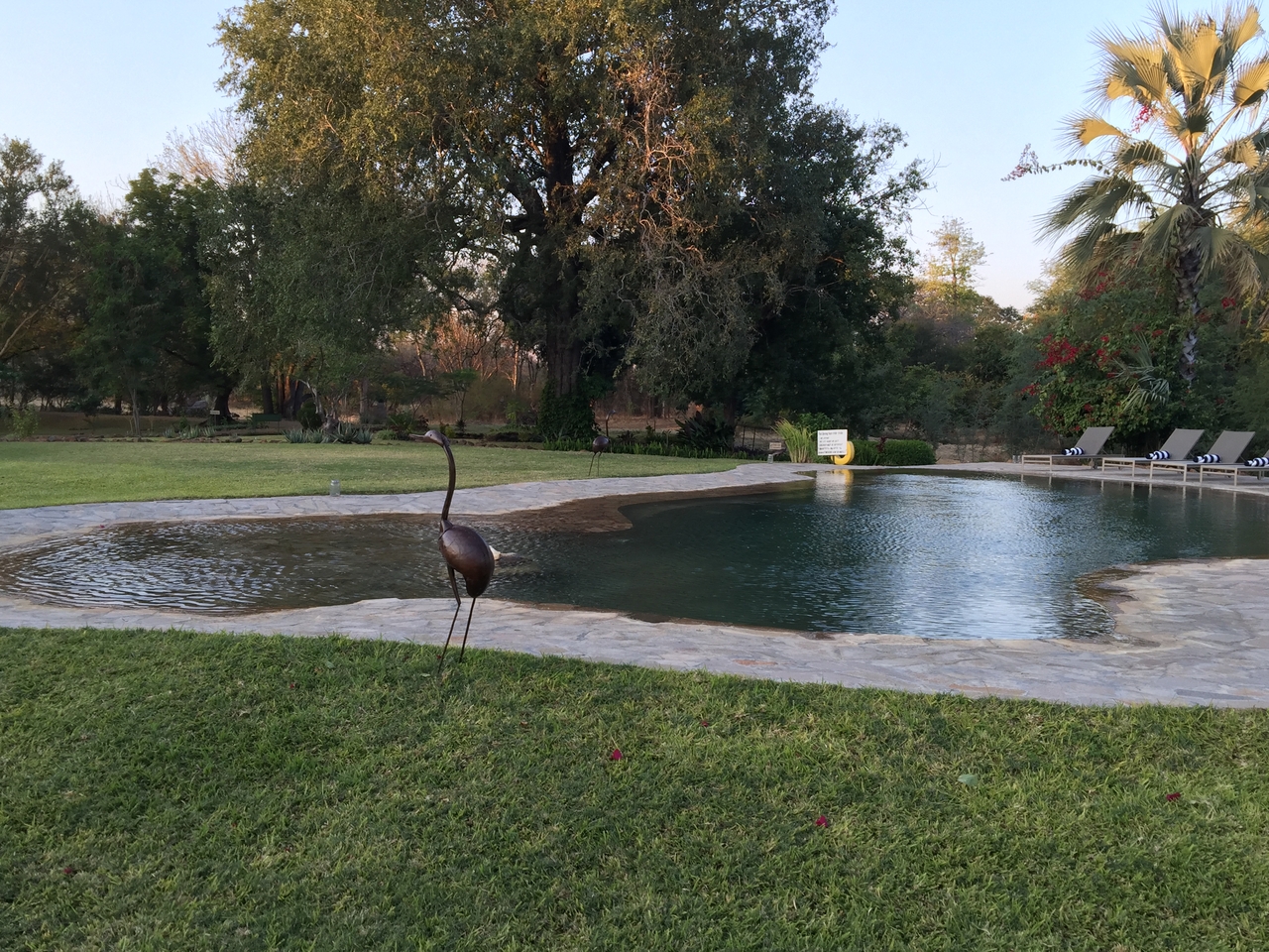 [32727] 2016_07_03_17_24_44_Africa_iPhone_6_Plus_IMG_4952_00301.jpg
