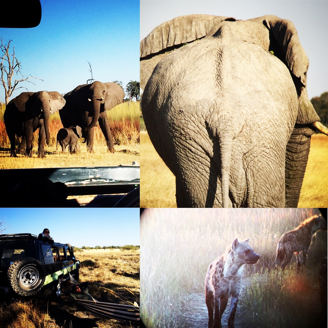 [34611] 2016_08_07_18_36_59-04_00_Africa_Other_Cameras_IMG_8966_01436.jpg