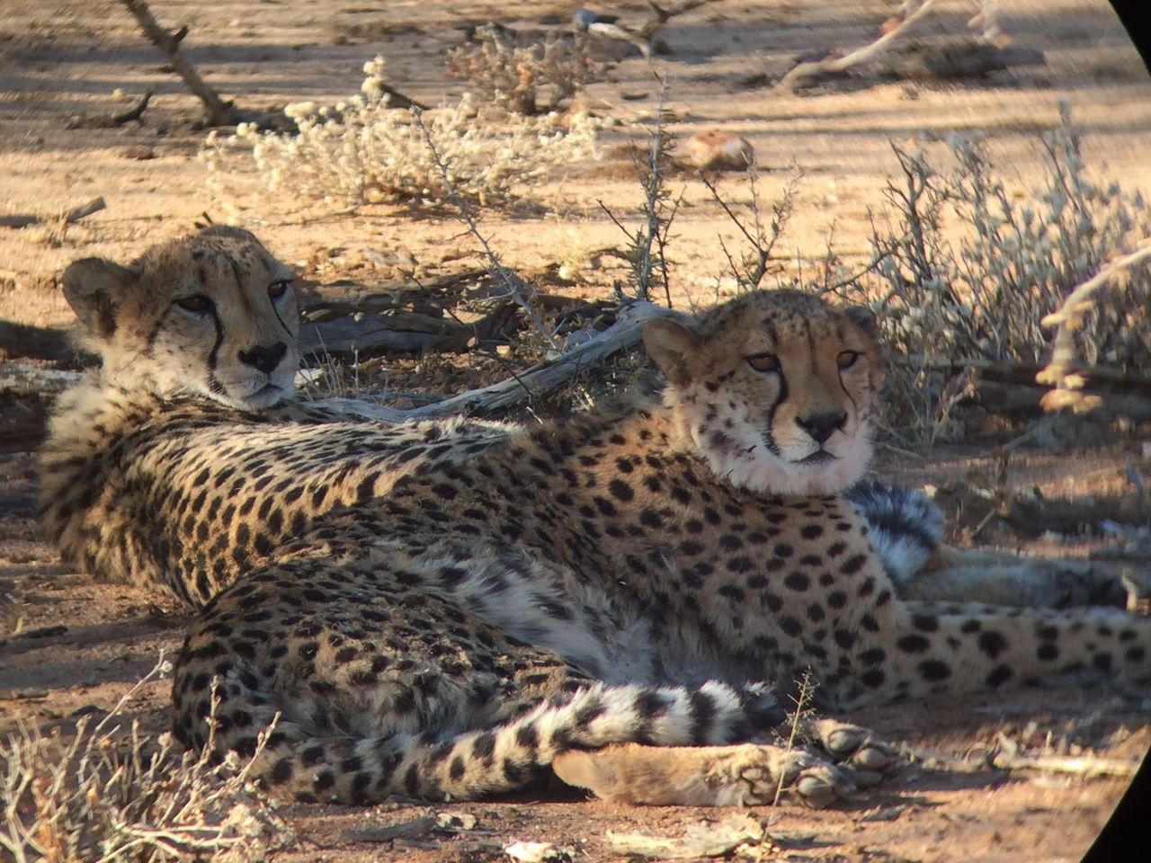 [34678] 2016_08_07_19_00_21-04_00_Africa_Other_Cameras_IMG_3424_00114.jpg