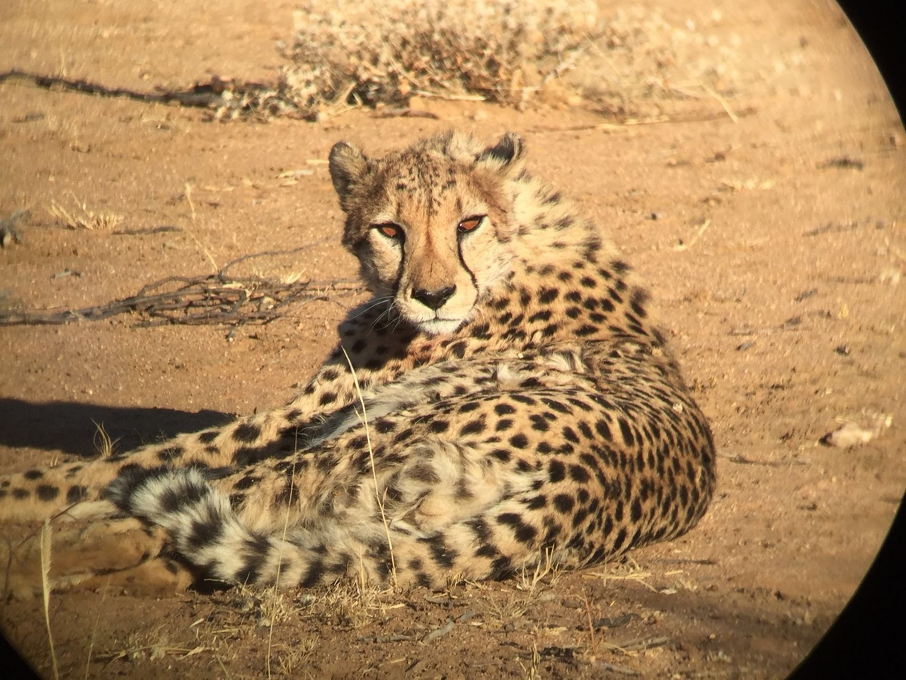 [34690] 2016_08_07_19_03_34-04_00_Africa_Other_Cameras_IMG_3415_00105.jpg