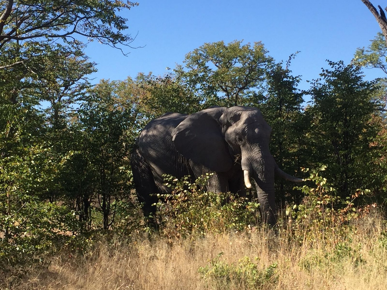 [34755] 2016_08_07_19_21_43-04_00_Africa_Other_Cameras_IMG_4955_00304.jpg