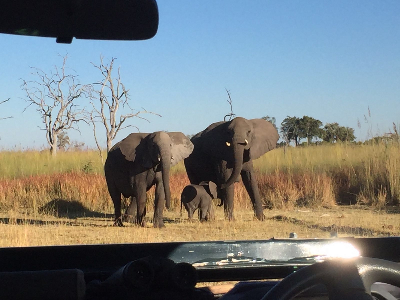 [34776] 2016_08_07_19_24_37-04_00_Africa_Other_Cameras_IMG_4956_00305.jpg