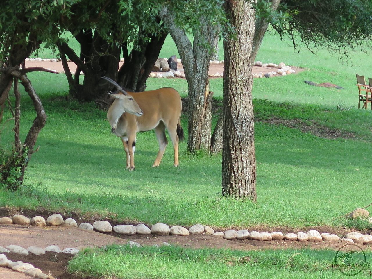 [45] 2019_06_29_09_48_12_Africa_Canon_PowerShot_G16_IMG_0196_00023.jpg