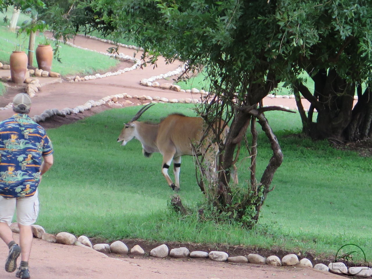 [49] 2019_06_29_09_49_12_Africa_Canon_PowerShot_G16_IMG_0198_00025.jpg