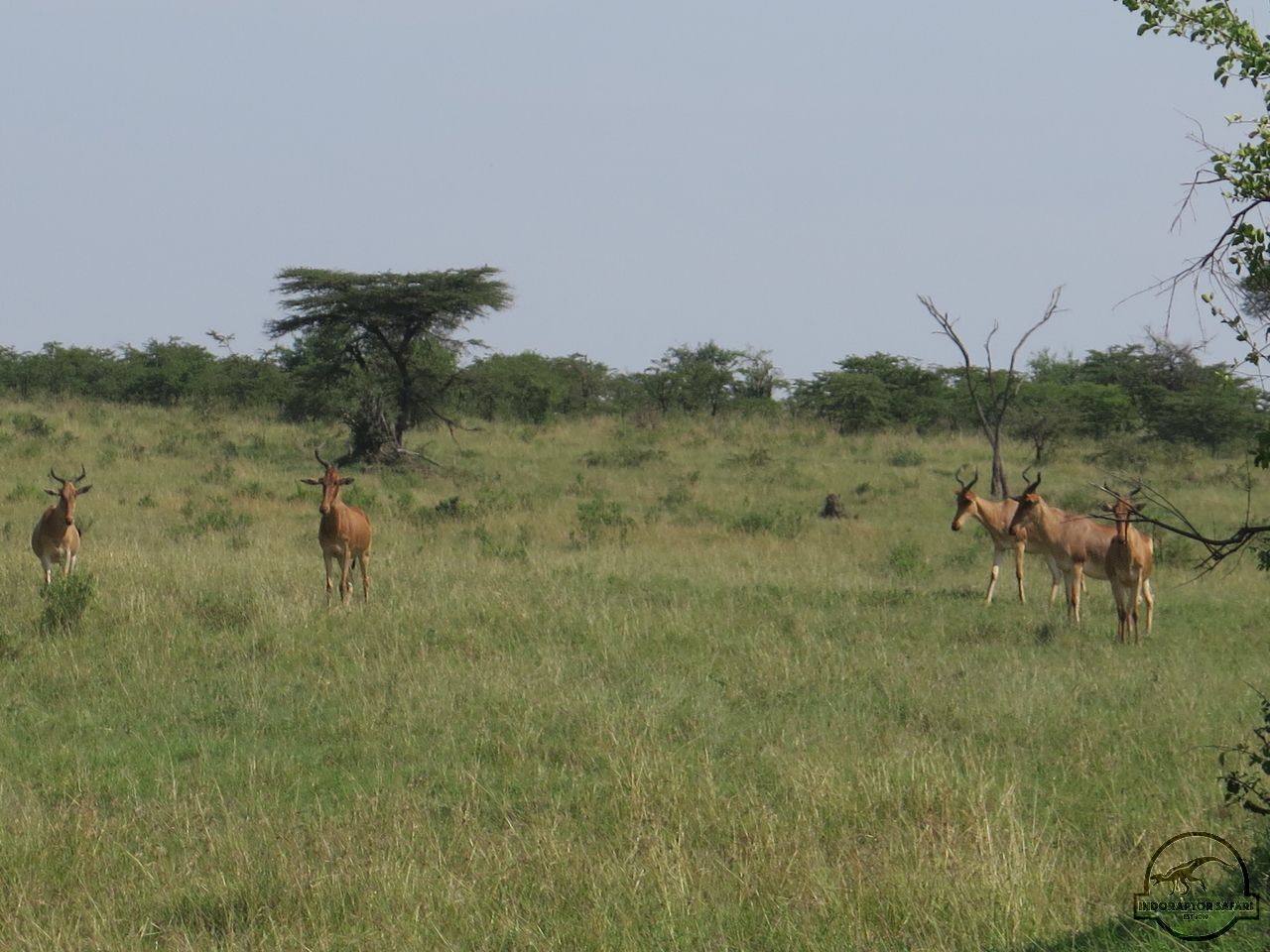[106] 2019_06_30_03_46_10_Africa_Canon_PowerShot_G16_IMG_0079_00045.jpg