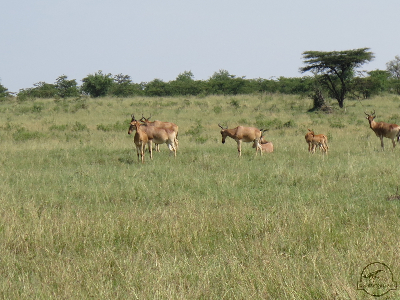[110] 2019_06_30_03_46_17_Africa_Canon_PowerShot_G16_IMG_0081_00003.jpg