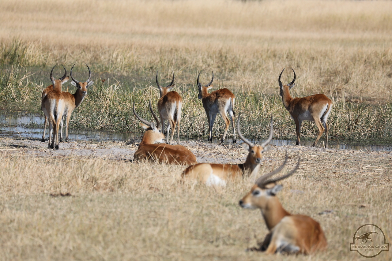 [153] 2019_06_20_15_27_50_Africa_Canon_EOS_5D_Mark_IV_IMG_0001165_00040.jpg