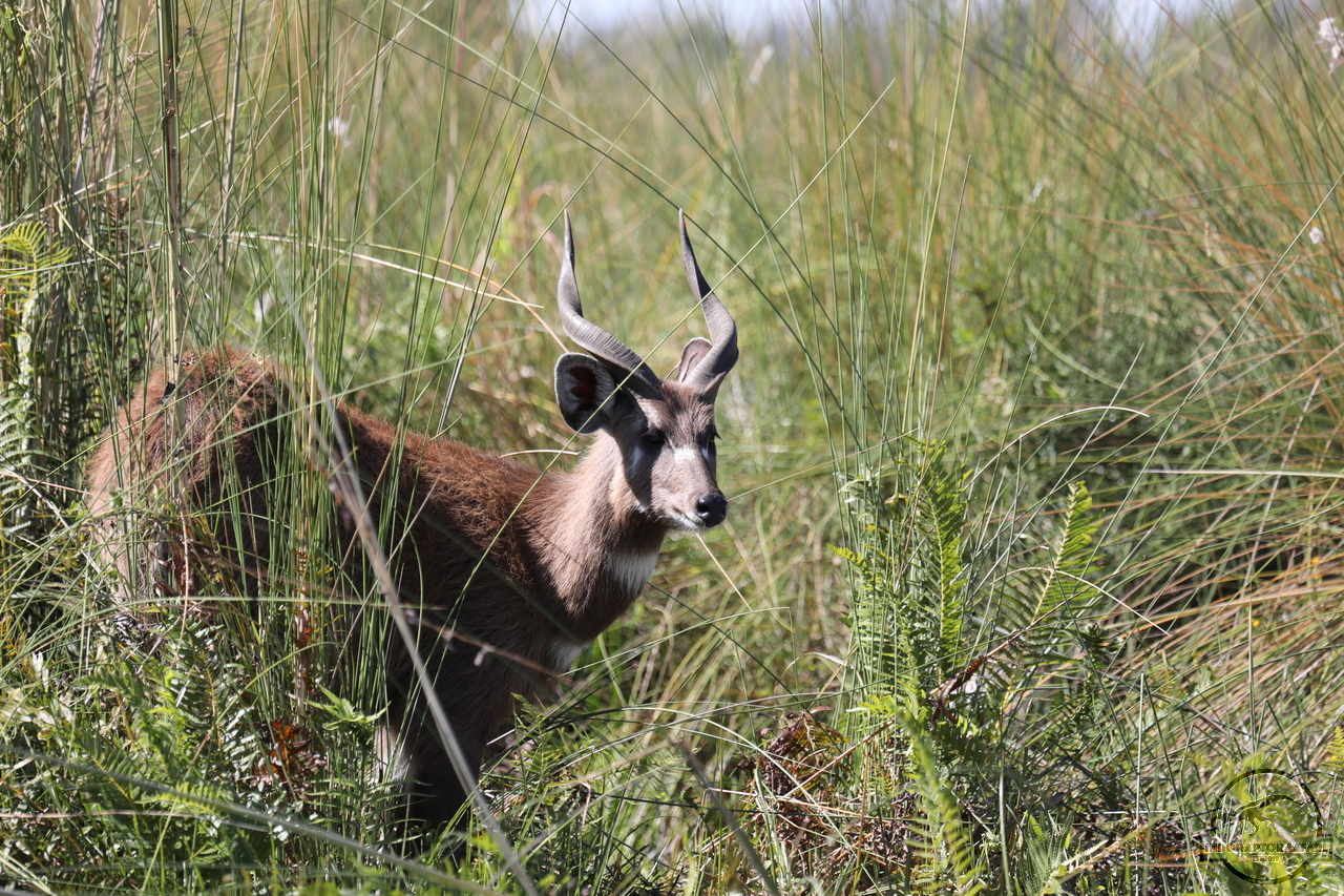 [166] 2019_06_21_18_03_06_Africa_Canon_EOS_5D_Mark_IV_IMG_0004290_00065.jpg