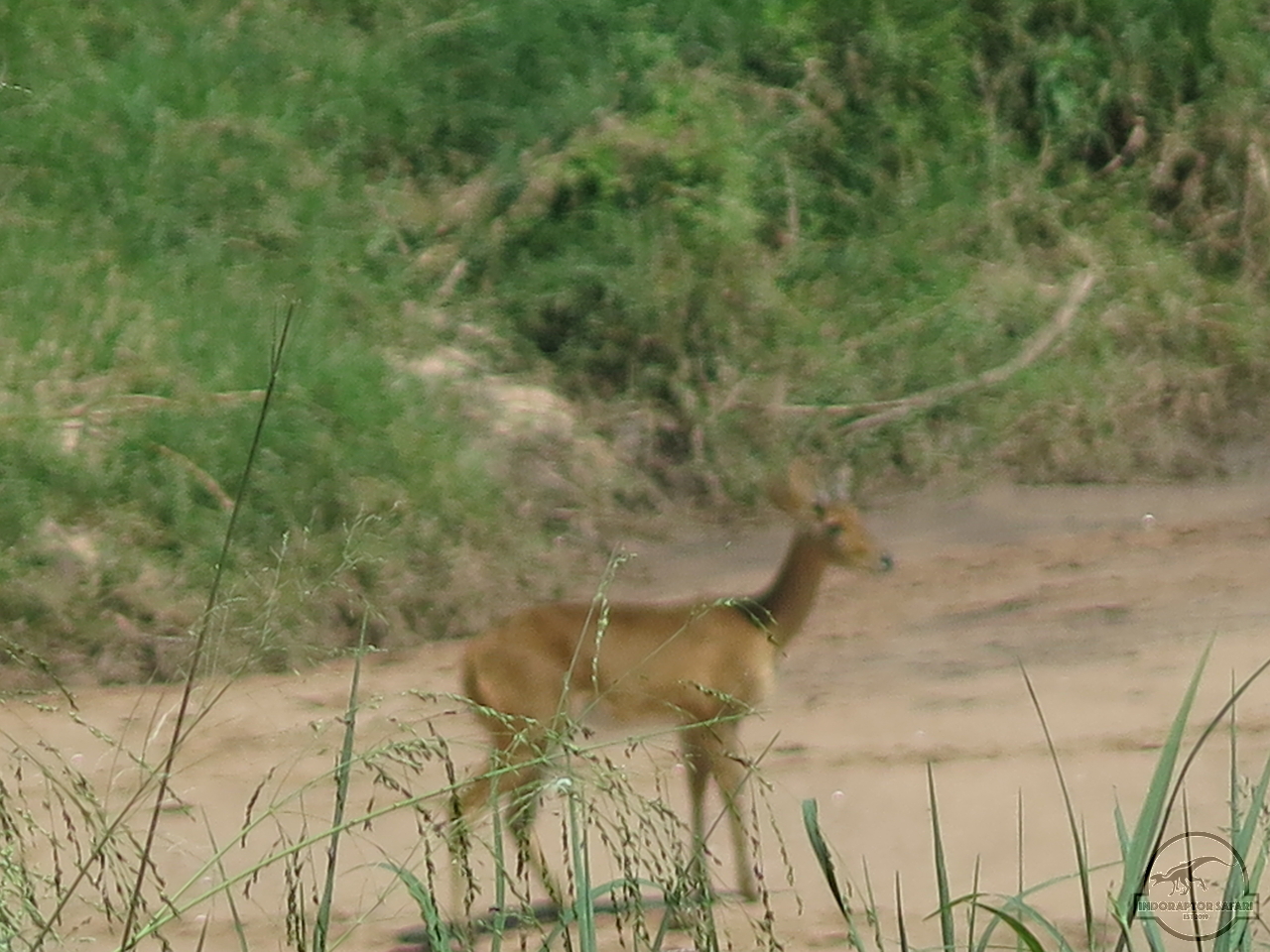 [177] 2019_07_03_05_30_27_Africa_Canon_PowerShot_G16_IMG_0141_00047.jpg