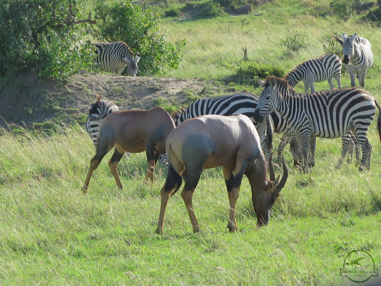 [197] 2019_07_03_01_35_34_Africa_Canon_PowerShot_G16_IMG_0030_00001.jpg