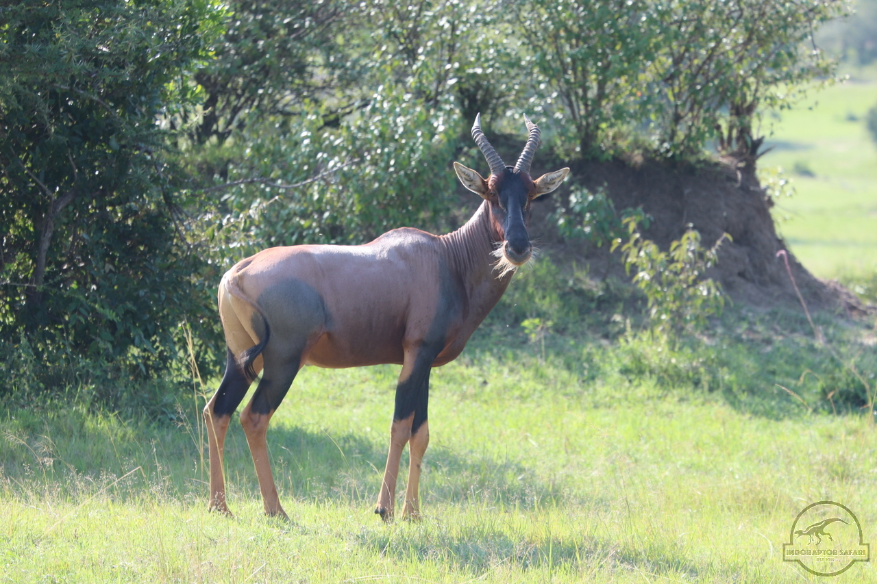 [205] 2019_06_30_08_12_31_Africa_Canon_EOS_77D_IMG_1925_00078.jpg