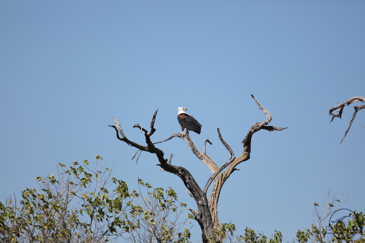 [251] 2019_06_20_15_56_14_Africa_Canon_EOS_5D_Mark_IV_IMG_0001234_00094.jpg