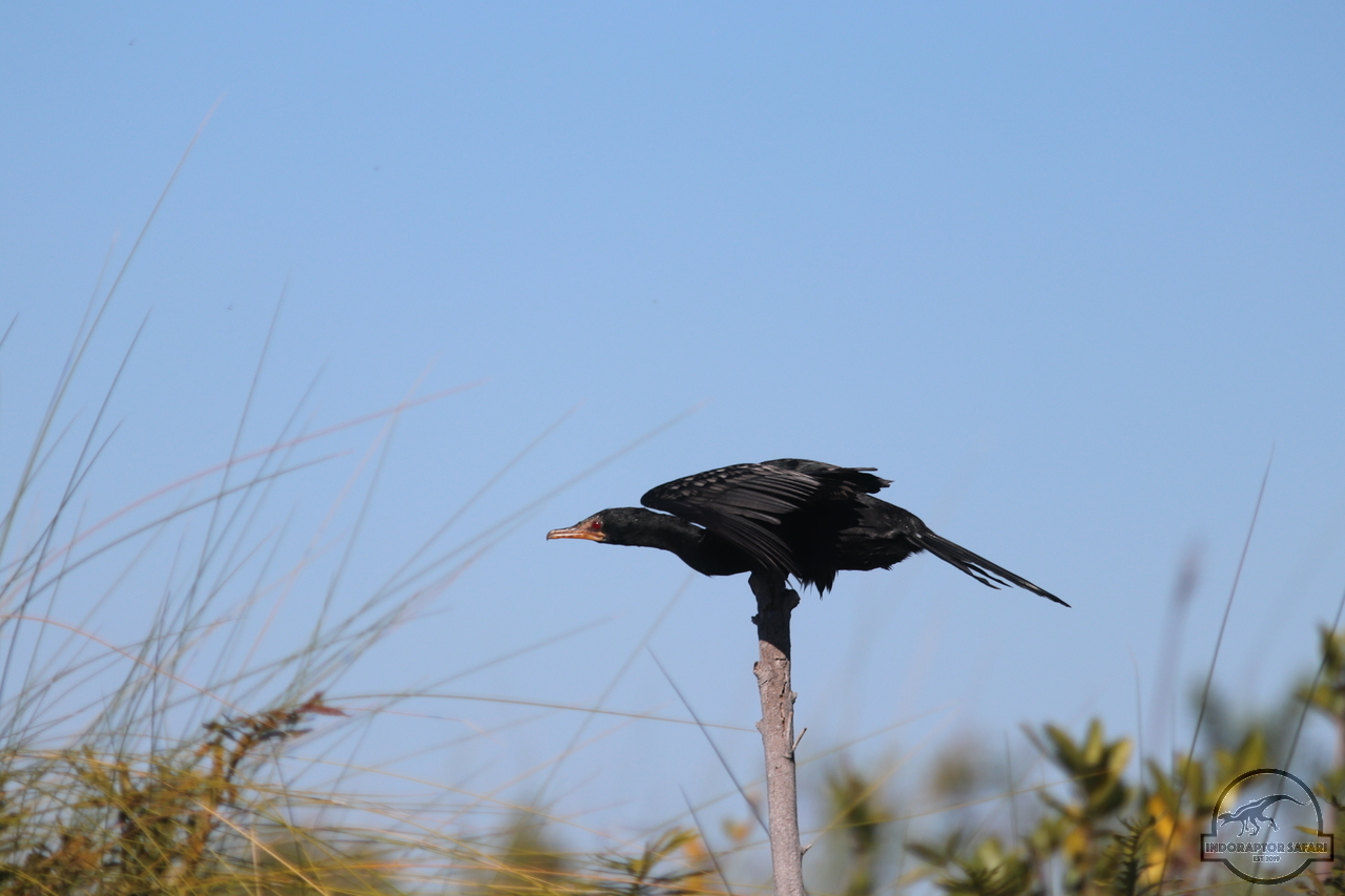 [298] 2019_06_21_14_55_26_Africa_Canon_EOS_77D_IMG_0745_00110.jpg