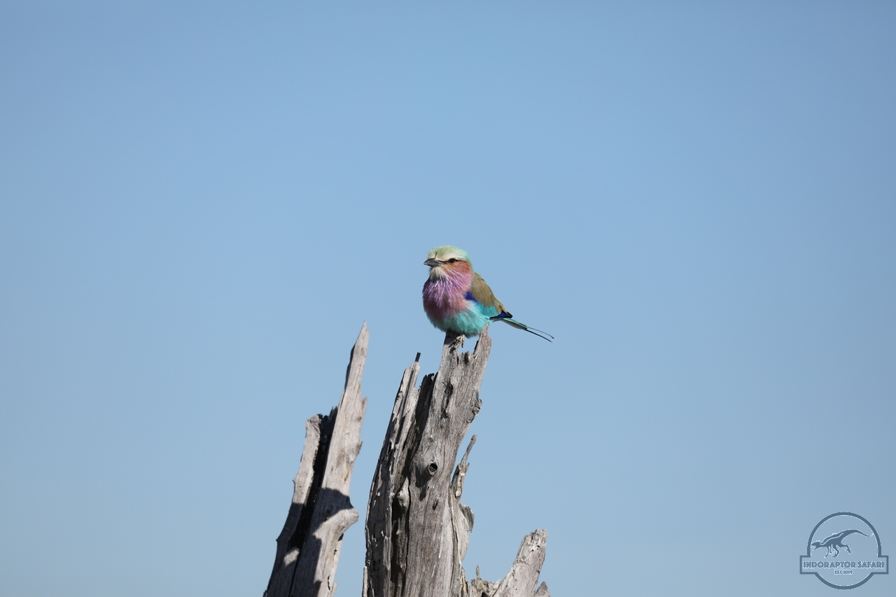 [321] 2019_06_20_14_50_43_Africa_Canon_EOS_5D_Mark_IV_IMG_0001093_00026.jpg