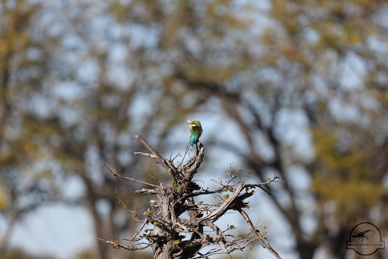 [349] 2019_06_21_21_08_47_Africa_Canon_EOS_5D_Mark_IV_IMG_0004328_00127.jpg