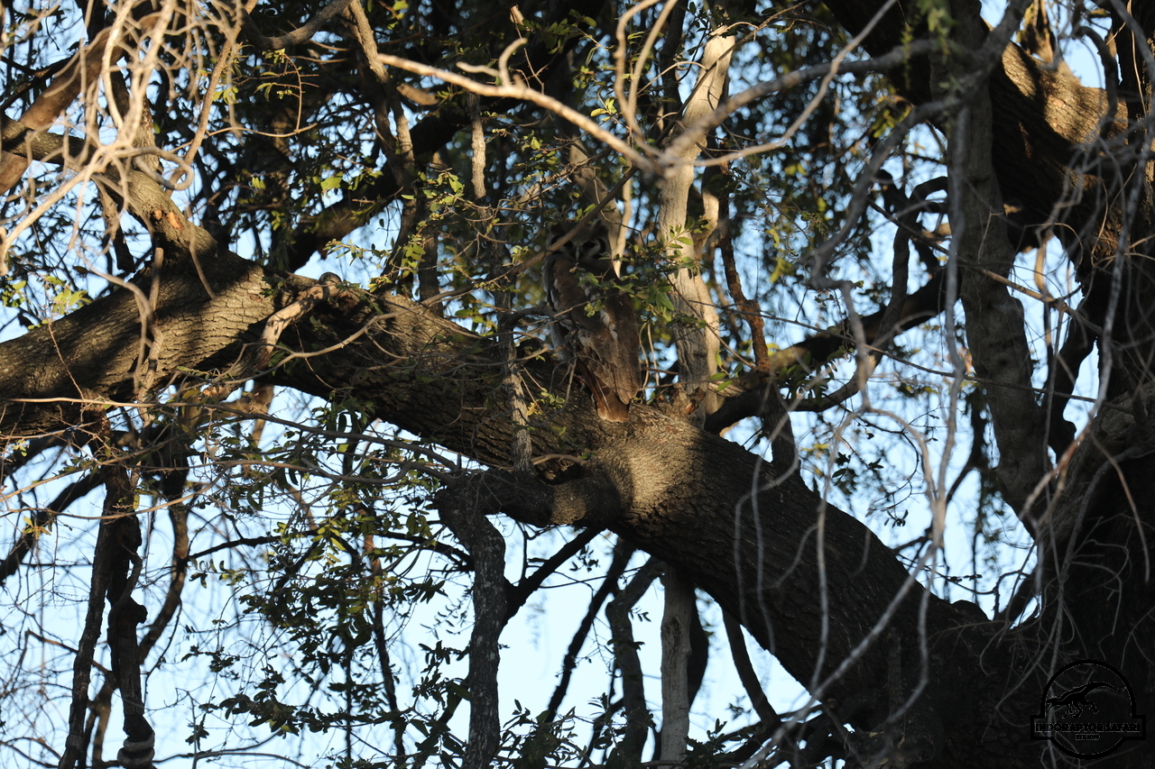 [382] 2019_06_22_12_37_40_Africa_Canon_EOS_5D_Mark_IV_IMG_0002485_00138.jpg