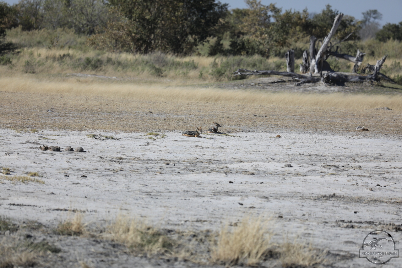 [475] 2019_06_20_14_39_42_Africa_Canon_EOS_5D_Mark_IV_IMG_0001055_00002.jpg
