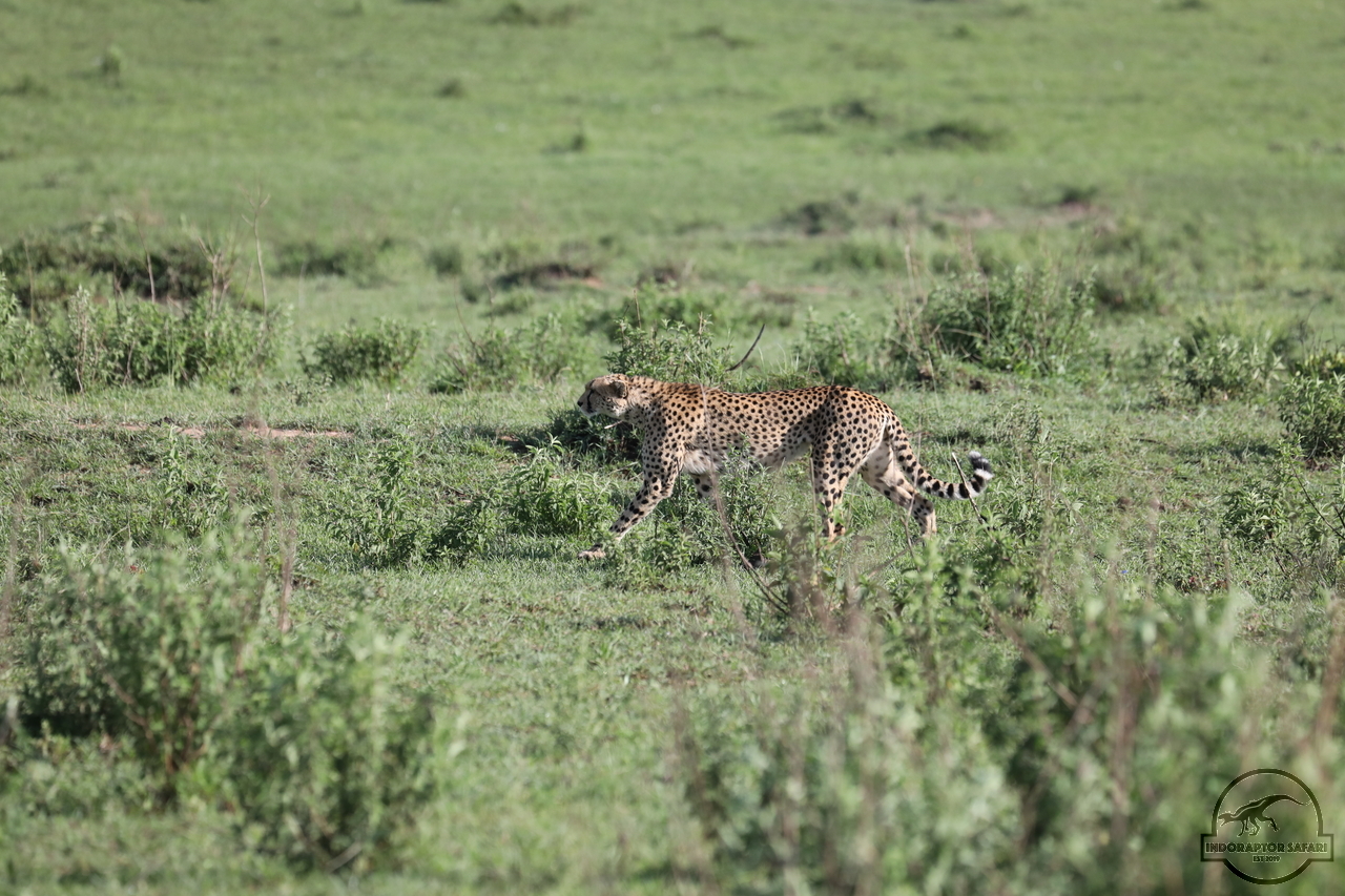 [502] 2019_07_01_12_34_34_Africa_Canon_EOS_5D_Mark_IV_IMG_0010822_00183.jpg