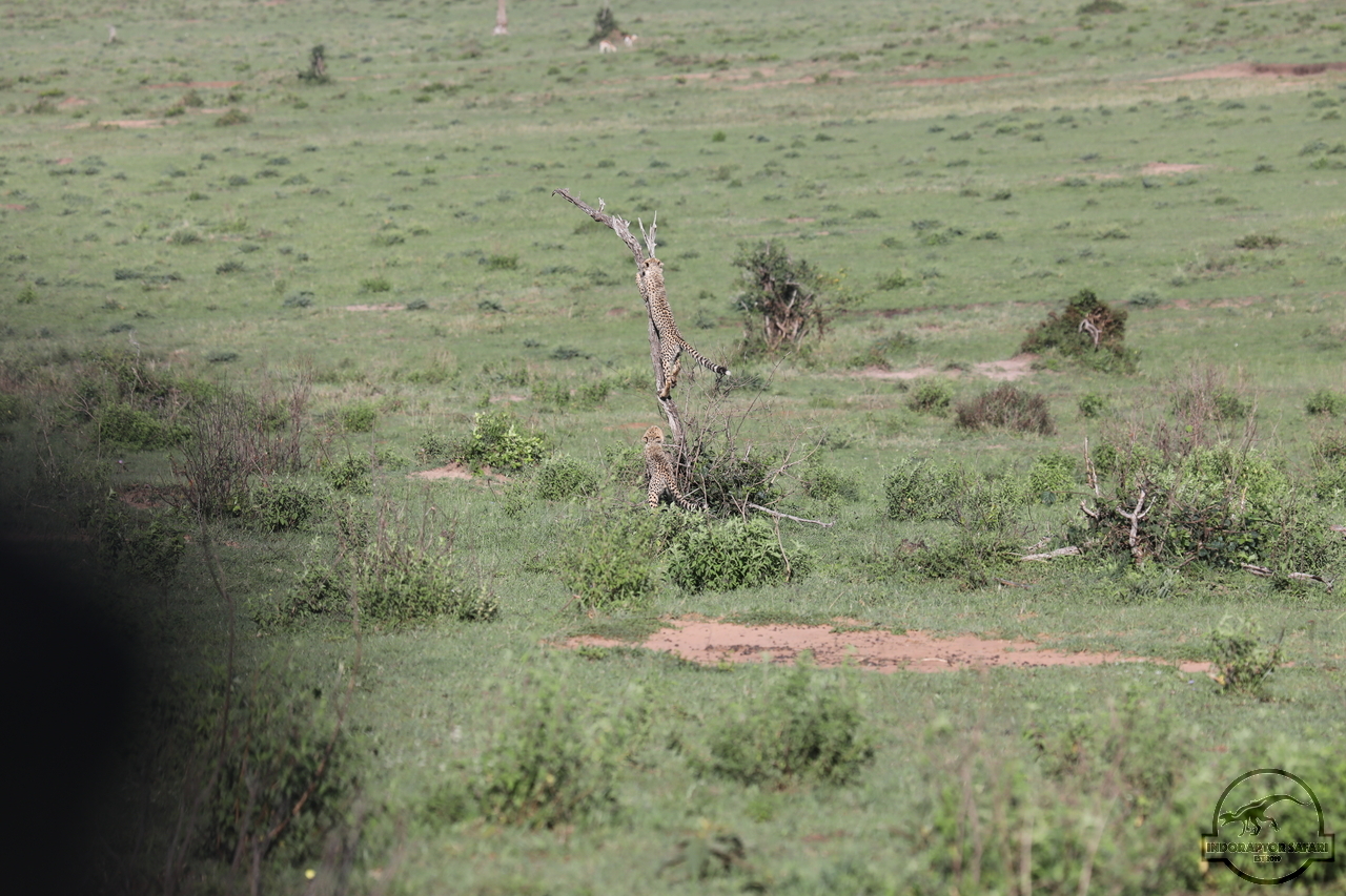 [506] 2019_07_01_12_40_36_Africa_Canon_EOS_5D_Mark_IV_IMG_0011017_00185.jpg