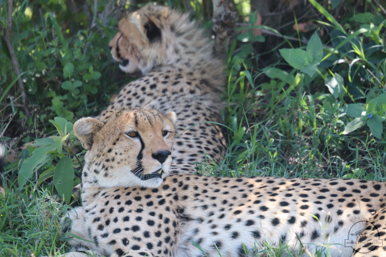 [518] 2019_07_03_10_34_14_Africa_Canon_EOS_77D_IMG_3428_00194.jpg